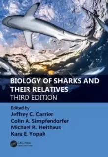 Image of Biology of Sharks and Their Relatives