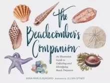 Image of Beachcomber's Companion : An Illustrated Guide to Collecting and Identifying Beach Treasures