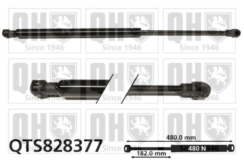 Image of QUINTON HAZELL Tailgate strut QUINTON HAZELL QTS828377