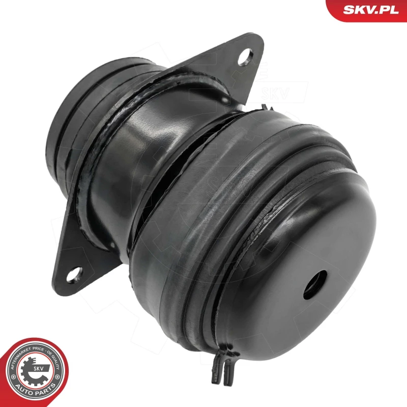 Image of ESEN SKV Engine mount ESEN SKV 75SKV241