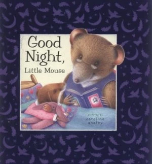 Image of Good Night Little Mouse by Caroline Anstey and Dugald Steer Hardback