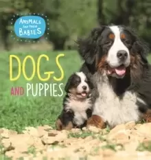 Image of Animals and their Babies: Dogs & puppies