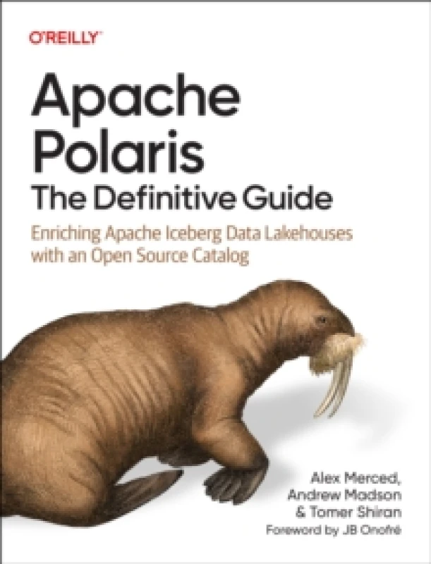 Image of Apache Polaris - The Definitive Guide : Enriching Apache Iceberg Data Lakehouses with an Open Source Catalog Paperback / softback