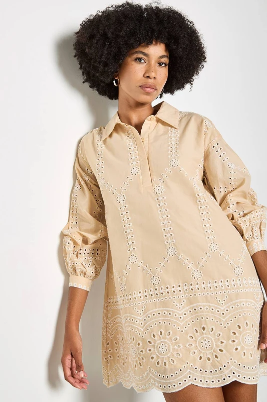 Image of Apricot Womens Broderie Anglaise Cotton Swing Mini Dress in Stone Size: 16 Stone Female 16