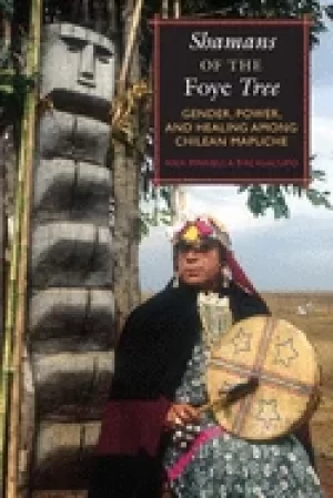 Image of shamans of the foye tree gender power and healing among chilean mapuche
