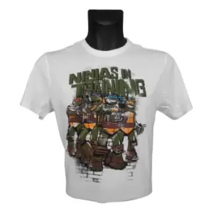 image of Teenage Mutant Ninja Turtles (Tmnt) Ninjas In Training T-Shirt, Kid'S Boy, 164/170, Years 12 To 14, White (Tsy00058Tnt-164)