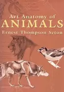 Image of art anatomy of animals
