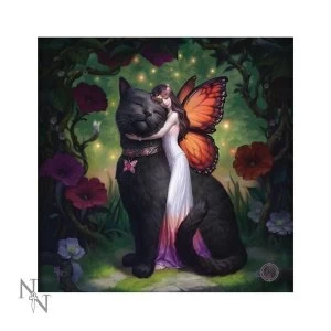 Image of Cat and Fairy Light Up Cushion
