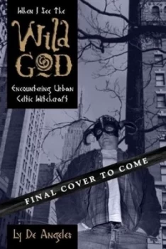 Image of When I See the Wild God by Ly De Angeles Book