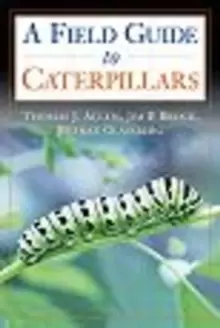 Image of Caterpillars in the Field and Garden : A Field Guide to the Butterfly Caterpillars of North America