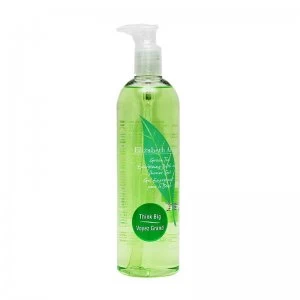 image of Elizabeth Arden Green Tea Energizing Bath Shower Gel 500ml