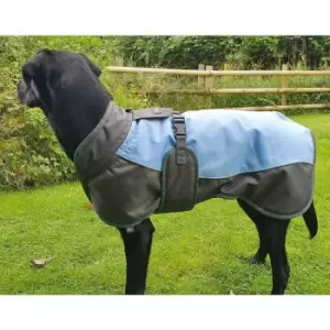 Image of Waterproof Dog Coat - Xlarge (65 Cm) Blue / Grey - Henry Wag