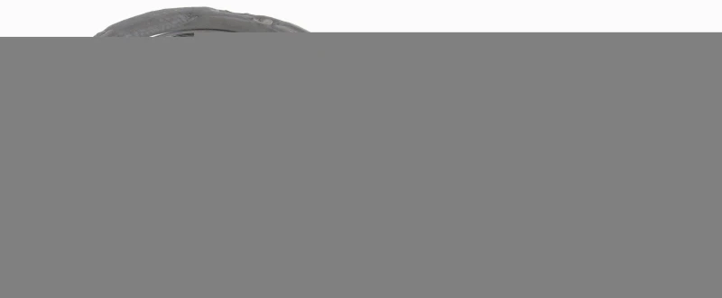 Image of Clutch kit SACHS 3000 950 993