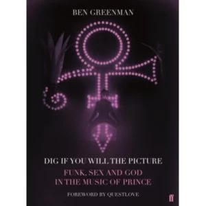 Image of Dig If U Will the Picture by Ben Greenman Hardback