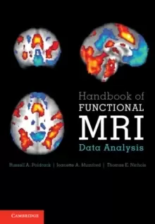 Image of Handbook of Functional MRI Data Analysis