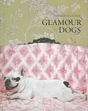 Image of glamour dogs