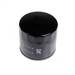Image of Oil Filter ADN12119 by Blue Print