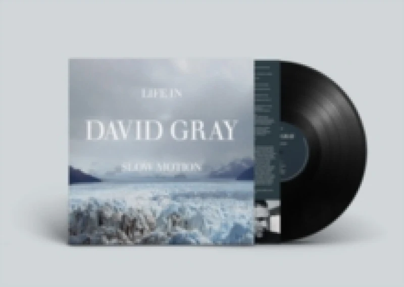 Image of Life in Slow Motion (20th Anniversary Edition) Vinyl