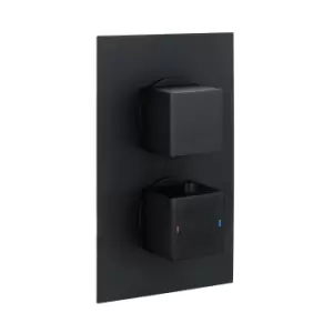 image of Zana Matt Black Dual Control Square Concealed Valve - 1 Outlet