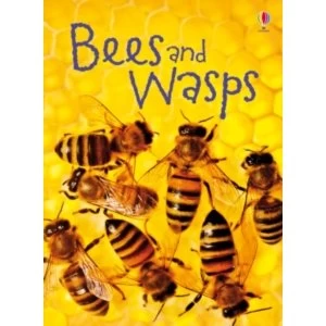 Image of Bees & Wasps by James MacLaine (Hardback, 2013)