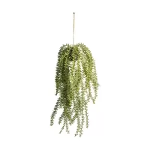 Image of Gallery Interiors Hanging Cactus Horsetail