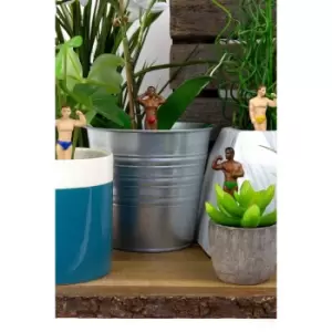 image of Novelty Hunk Planters