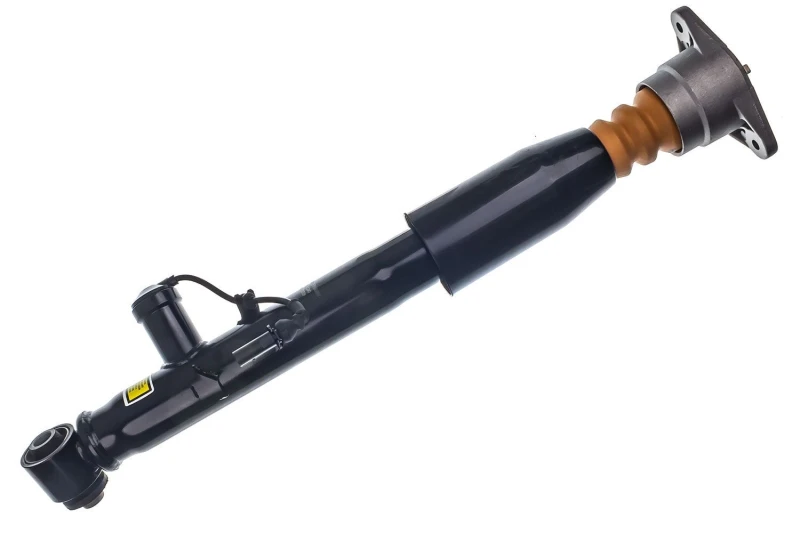 Image of DENCKERMANN Air suspension strut DENCKERMANN DSA029G