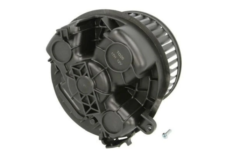 Image of THERMOTEC Heater blower motor THERMOTEC DDP010TT