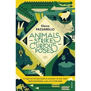 Image of Animals Strike Curious Poses Paperback / softback 2018