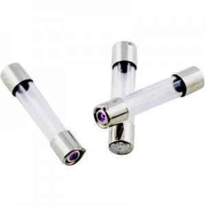 Image of ESKA 528012 Micro fuse x L 5mm x 25mm 0.315 A 250 V Medium time lag mT Content 10 pcs