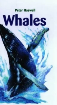 Image of Whales by Peter Haswell and Steve White Paperback