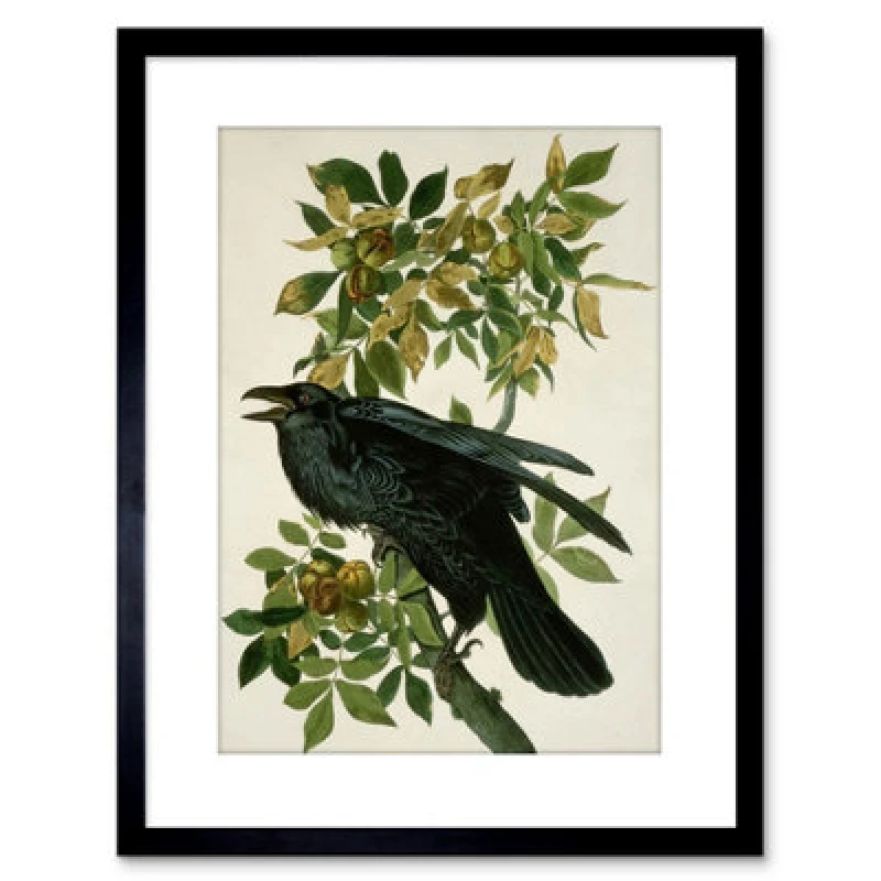 Image of Artery8 Wall Art Print Painting Nature Animal Bird Audubon Raven Artwork Framed 9X7 Inch
