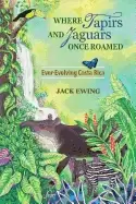 Image of where tapirs and jaguars once roamed ever evolving costa rica