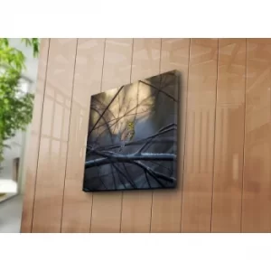 Image of 4545NAT-47 Multicolor Decorative Canvas Painting