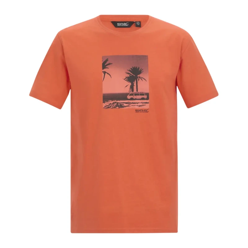 Image of Regatta Mens Cline IX Short Sleeved Graphic T-Shirt in Orange Size: 4XL Orange Male 4XL