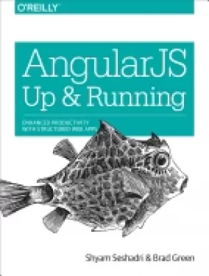 Image of angularjs up and running enhanced productivity with structured web apps