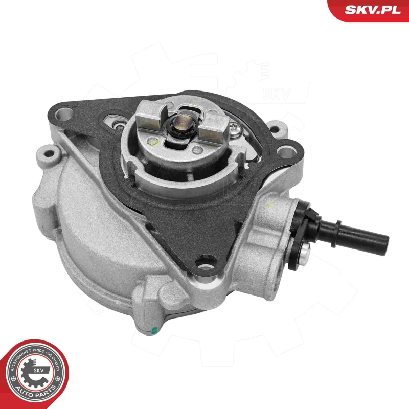 Image of ESEN SKV Brake vacuum pump ESEN SKV 18SKV088