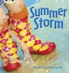 Image of Bug Club Phonics Non Fiction Reception Phase 3 Set 11 Summer Storm