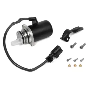 Image of BorgWarner Pump, all-wheel-drive coupling DS119866 VW,AUDI,SKODA,Passat Variant (3C5),GOLF VI (5K1),Golf VII Schragheck (5G1, BQ1, BE1, BE2)