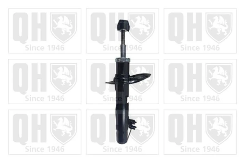 Image of QUINTON HAZELL Shock absorber QUINTON HAZELL QAG181528