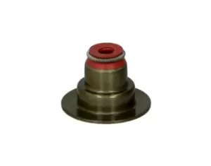 Image of REINZ Valve Stem Seals 70-36613-00 Valve Stem Oil Seals,Valve Seals OPEL,FIAT,CHEVROLET,Corsa D Schragheck (S07),ZAFIRA B (A05),INSIGNIA Caravan