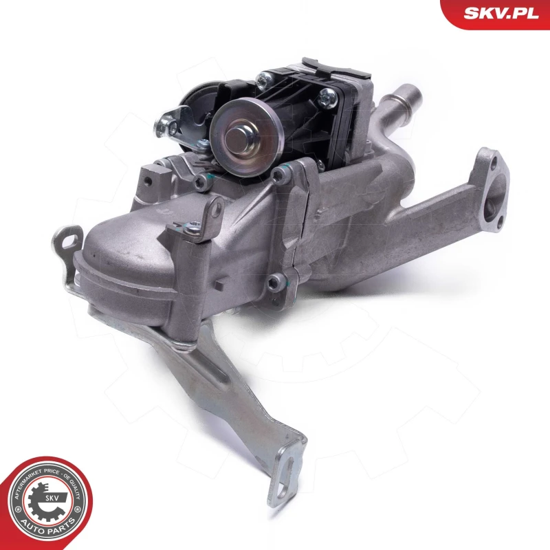 Image of ESEN SKV EGR valve ESEN SKV 14SKV250