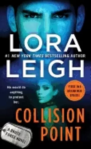 Image of collision point a brute force novel