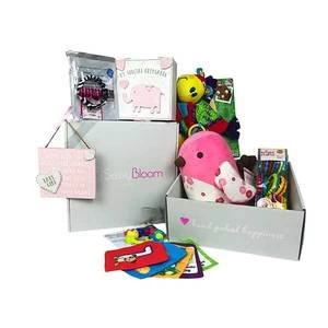 Image of Sassy Bloom New Baby Girl / Baby Shower Newborn Gift Luxury