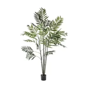 Image of Crossland Grove Areca Palm Tree Large 960X960X1520Mm