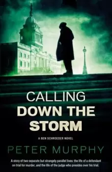 Image of Calling down the storm by Peter Murphy
