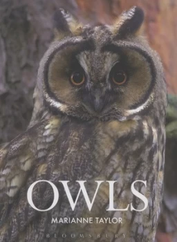 Image of Owls by Marianne Taylor Hardback