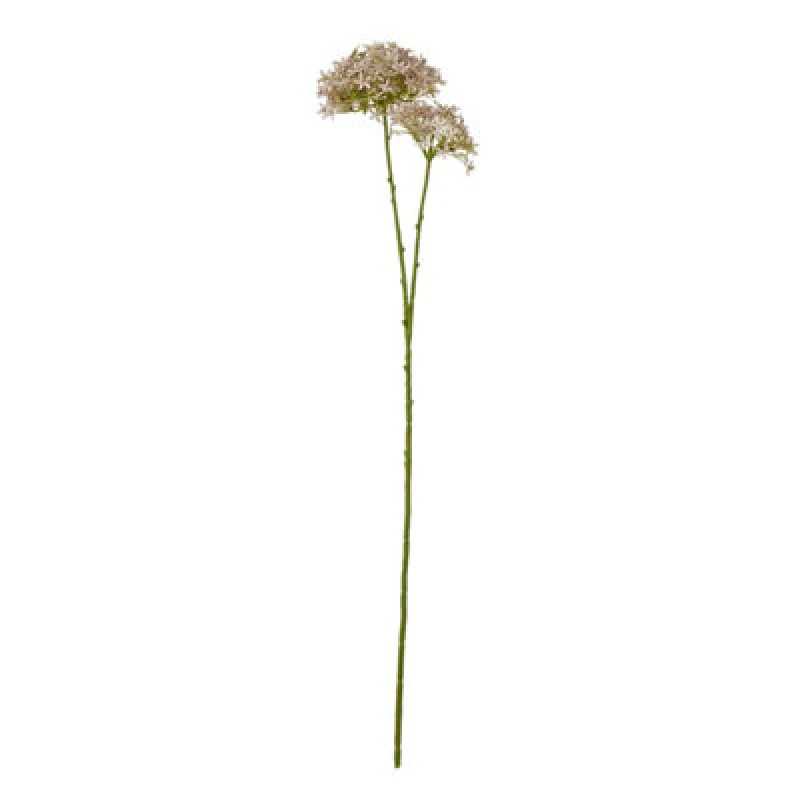 Image of Lilac Crown Hydrangea Stem