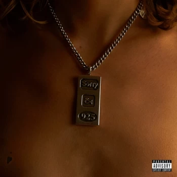 Image of Sorry - 925 Vinyl
