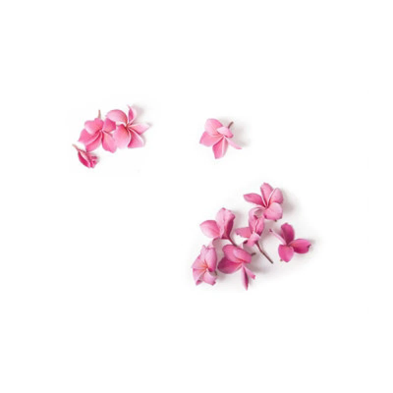 Image of Warren Reed Designer Pink Frangipani Flowers Glass Chopping Board